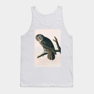 Bird of America  Bird, bird lover, america, beautiful  Public domain painting by John James Audubon Tank Top